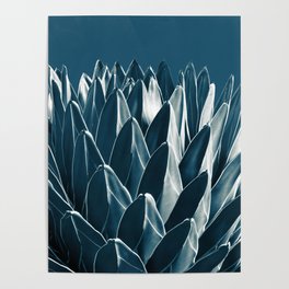Agave Chic #5 #succulent #decor #art #society6 Poster