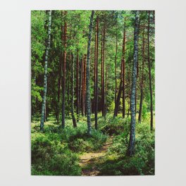 Woods by the Lejas Ezers Poster