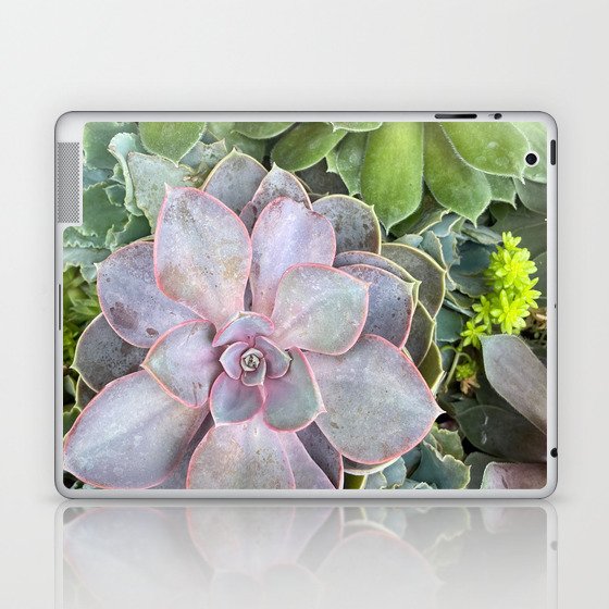 Plant Nature Succulent Natural Vintage Photography Laptop & iPad Skin
