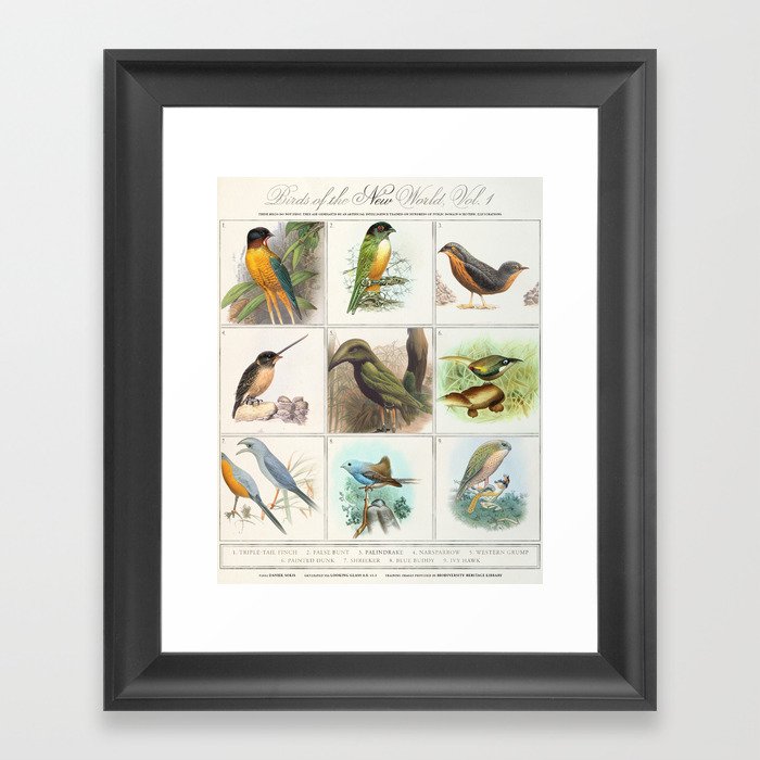 These Birds Do Not Exist, 1 Framed Art Print