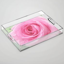 Morning Rose Acrylic Tray