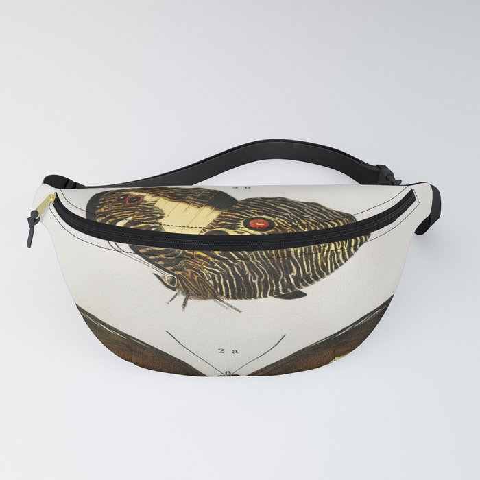 Different Types of Butterfly Fanny Pack
