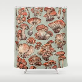 A Series of Mushrooms Shower Curtain