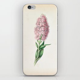Fringed orchis by Clarissa Munger Badger, 1859 (benefitting The Nature Conservancy)  iPhone Skin