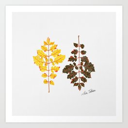 Autumn Foliage Art Print