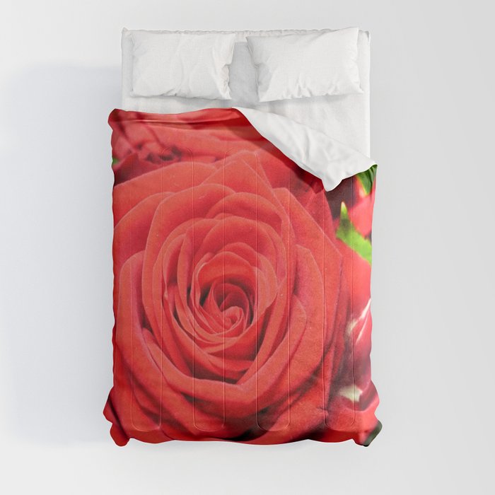 Red big Rose Comforter