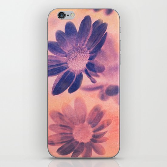 Daisies on Canvas iPhone & iPod Skin