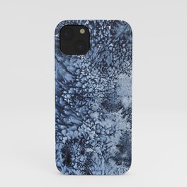 aerial view iPhone Case