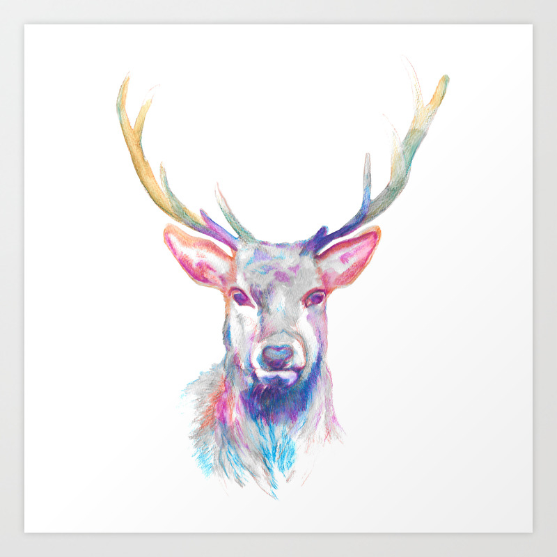 Beautiful Stag Deer Watercolour Painting Deer Wildlife Art