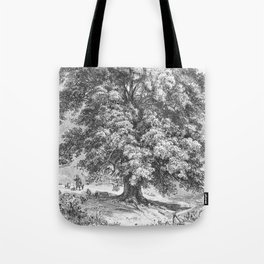 Linden Tree Print from 1800's Encyclopedia Tote Bag