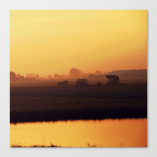 Morning activity #2 Canvas Print