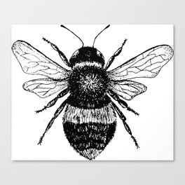 Vintage Bee Canvas Print