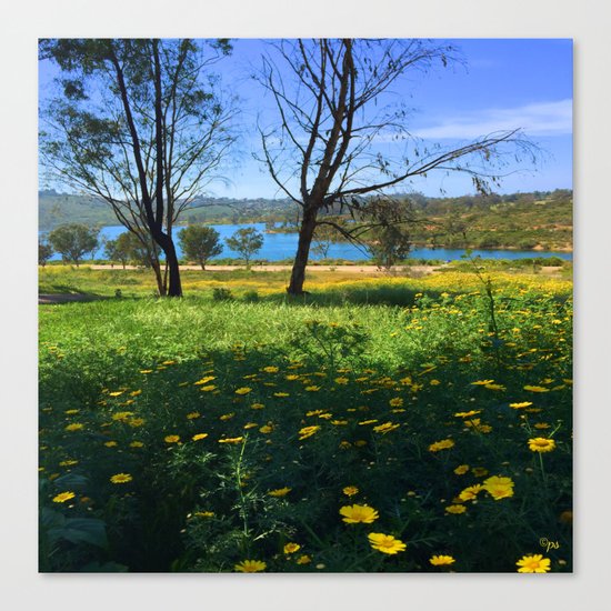 Springtime Comes to Lake Murray, La Mesa, CA Canvas Print