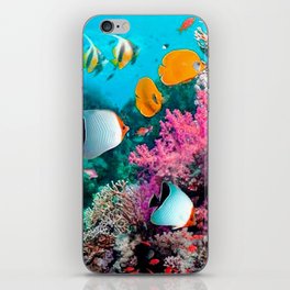 Colorful Fish iPhone Skin
