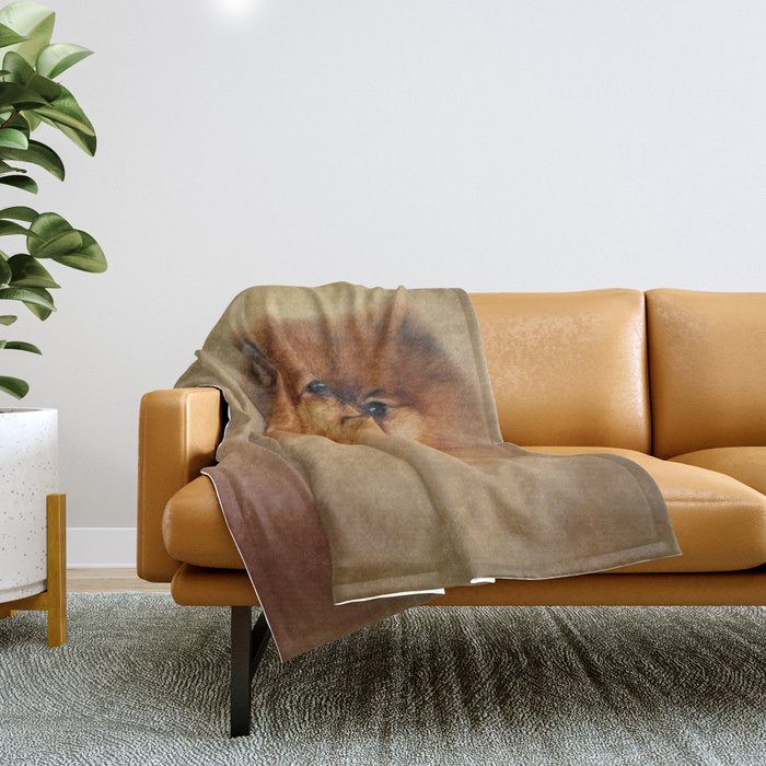 Pomeranian best sale throw blanket