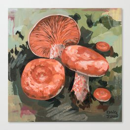 Coral Milk Cap Mushroom-2 Canvas Print