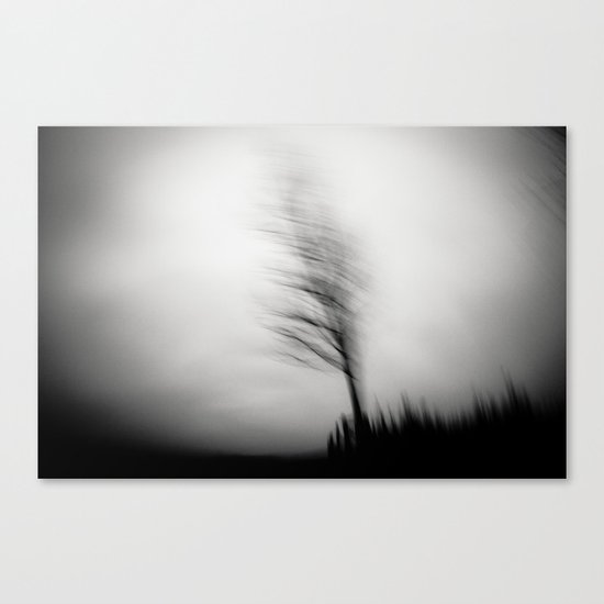 shadow dancer Canvas Print