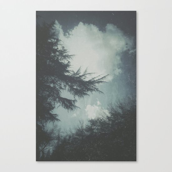 On Cool Days Canvas Print