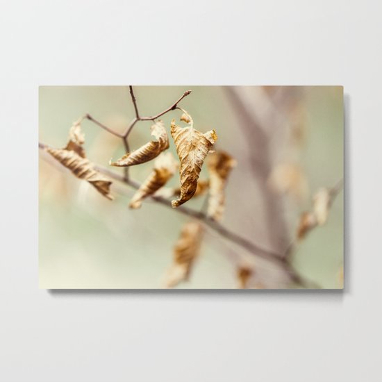 left over Metal Print