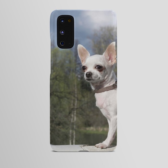 Small White Chihuahua Dog Sits On  Android Case