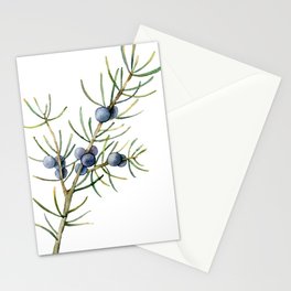 Juniper White Christmas Stationery Card