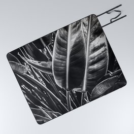tropical leaves texture background in black and white Picnic Blanket
