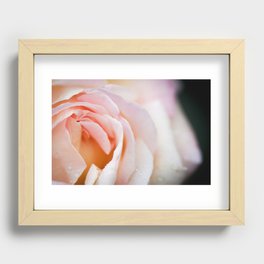 Rose Recessed Framed Print