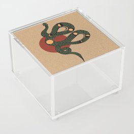 Celestial Snake Acrylic Box