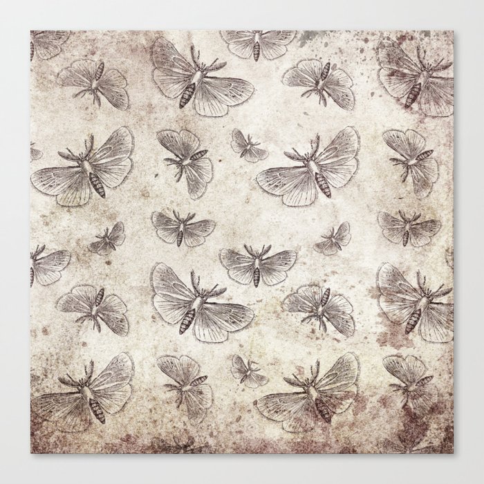 insect pattern / insect lover / butterfly lovers / animal Canvas Print