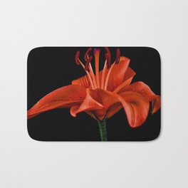 Single Red Lily On Black Bath Mat | Redfloralart, Singleredlily, Photo, Flowerphotography, Naturephotography, Botanique, Redflowers, Nature, Redfloral, Liliesart 
