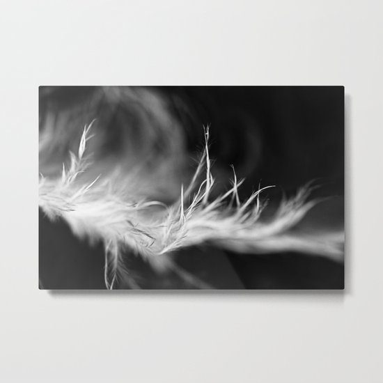 light and feathery Metal Print