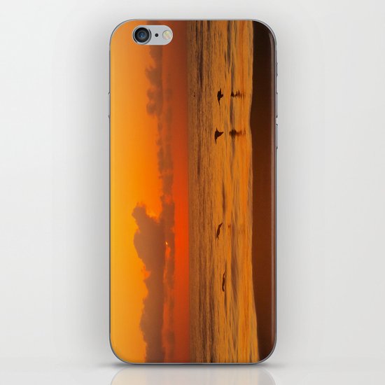 Four Pelican Sunrise iPhone & iPod Skin