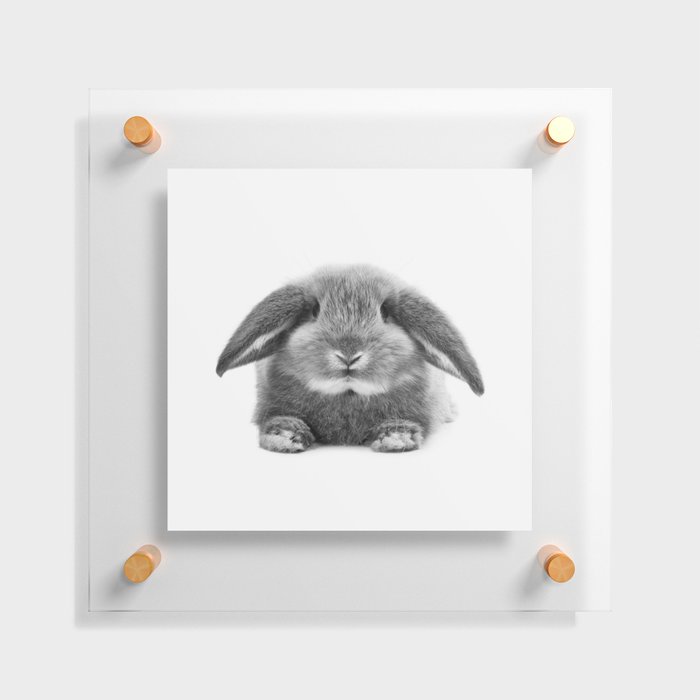 Bunny rabbit sitting Floating Acrylic Print