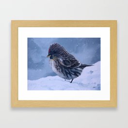 Redpoll Snowstorm Framed Art Print