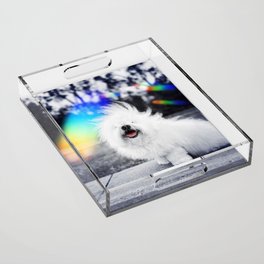 Rainbow Bliss Smile - Wigglesworth Flooftastic Coton de Tulear Dog Acrylic Tray
