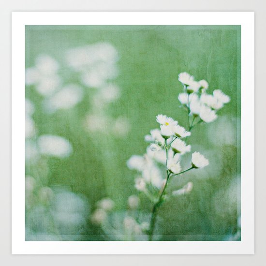 soft white Art Print