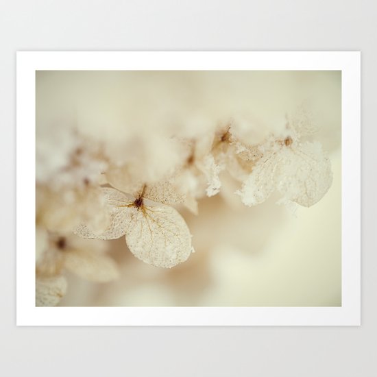 hidden beauty Art Print