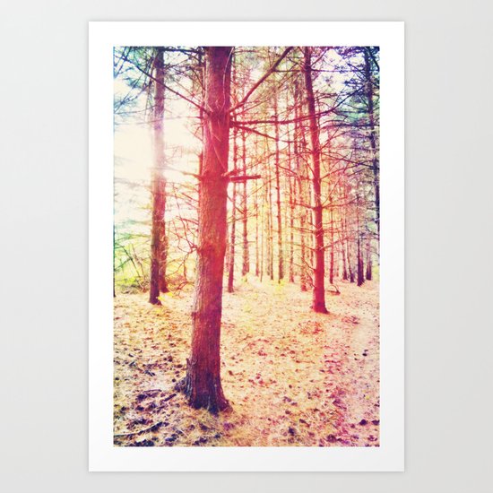 Fantasy in the Pines Art Print