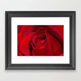 Rose Bud Framed Art Print