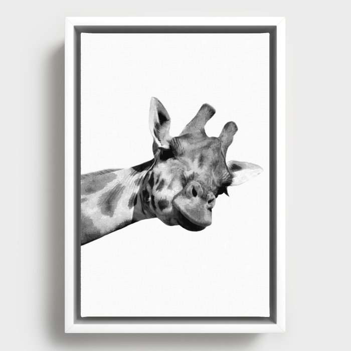 Framed Canvas