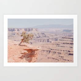 Canyonlands. Art Print