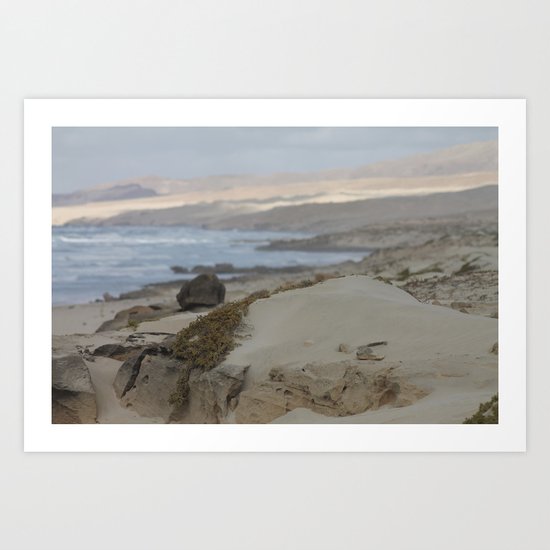 Area Protegida Art Print