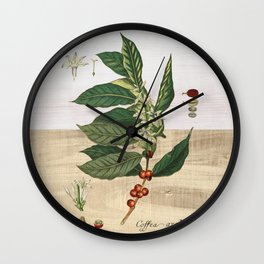 Coffea arabica Wall Clock