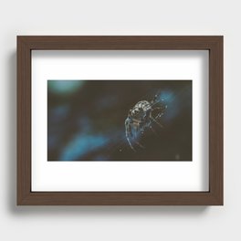 Spider Creeper Recessed Framed Print