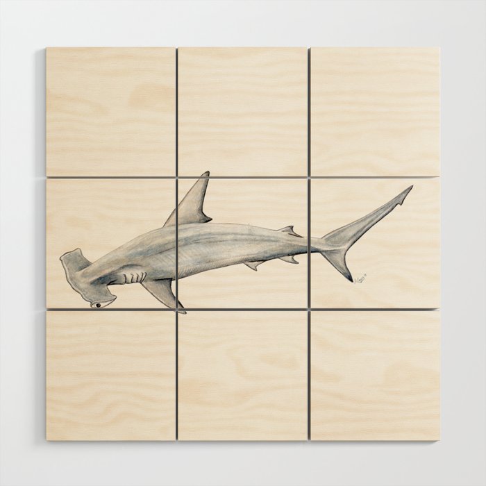 Hammerhead shark for shark lovers, divers and fishermen Wood Wall Art