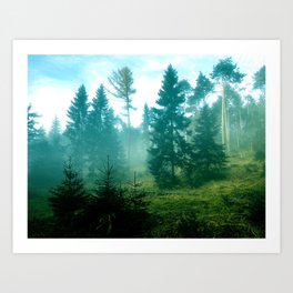 Emerald green forest with trees in the fog Art Print