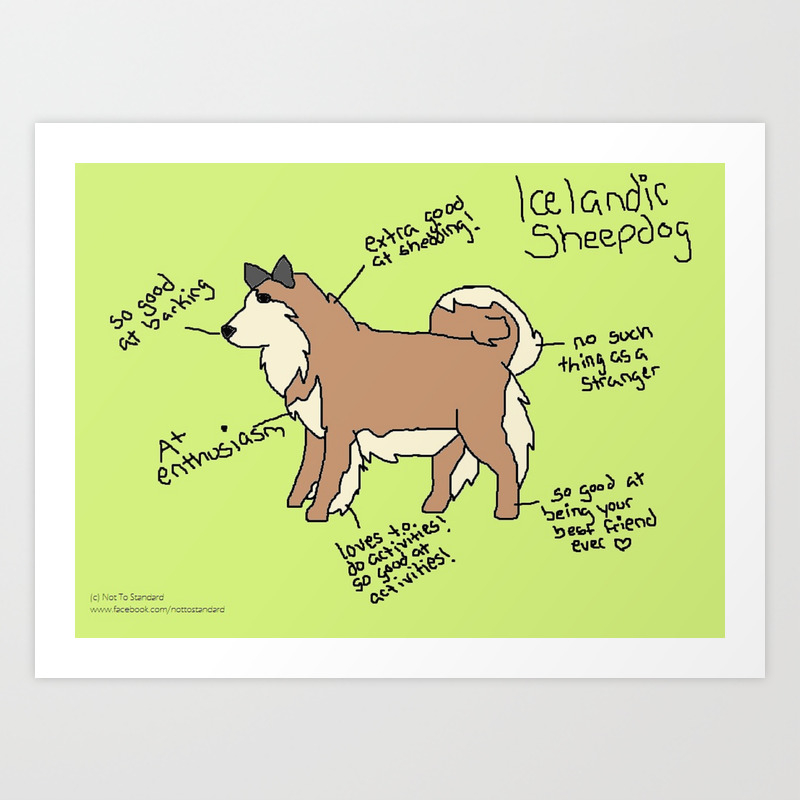 Longhaired Icelandic Sheepdog Art Print By Nottostandard Society6