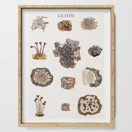 Lichen Serving Tray