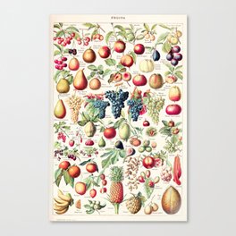 Adolphe Millot - Fruits pour tous - French vintage poster Canvas Print