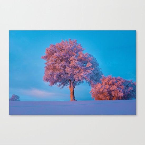 Stay A While Canvas Print